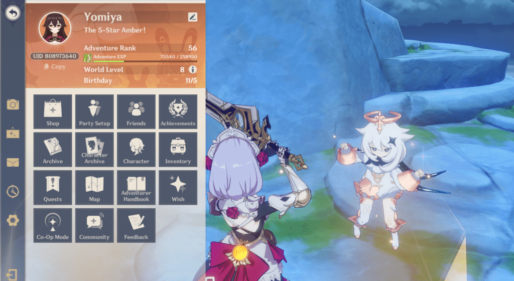 In-game settings screen for entering redeem codes manually